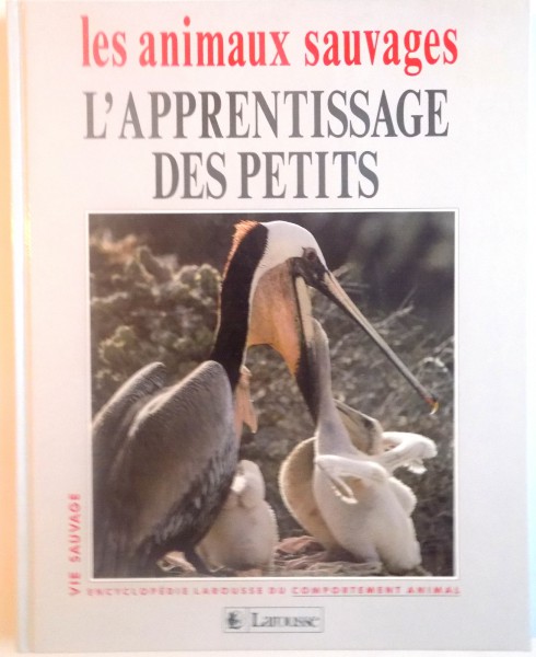 ANALYSE PSYCHOLINGUISTIQUE DES ERREURS FAITES LORS DE L'APPRENTISSAGE D'UNE LANGUE ETRANGERE-GHEORGHE DOCA