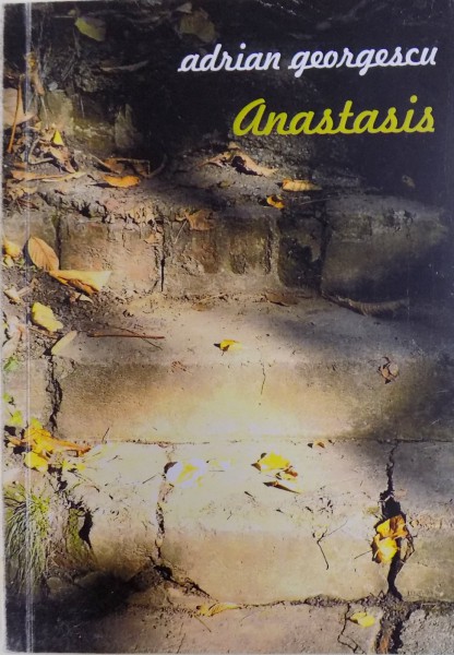 ANASTASIS de ADRIAN GEORGESCU, 2013