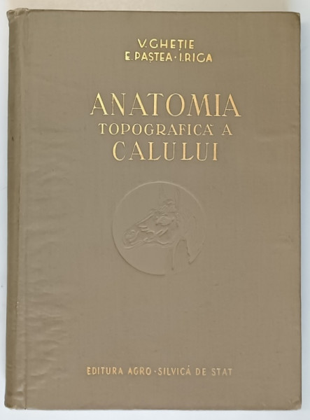 ANATOMIA TOPOGRAFICA A CALULUI , 1955