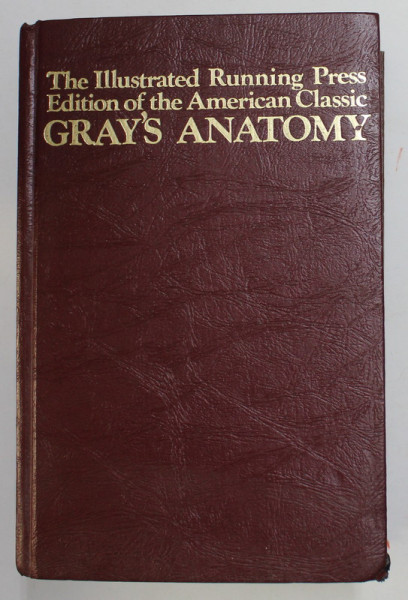 ANATOMY , DESCRIPTIVE AND SURGICAL by HENRY GRAY , 1974