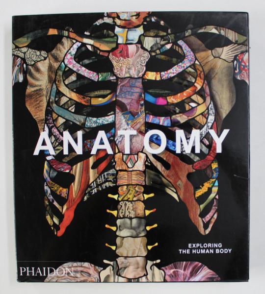 ANATOMY  : EXPLORING THE HUMAN BODY , 2019