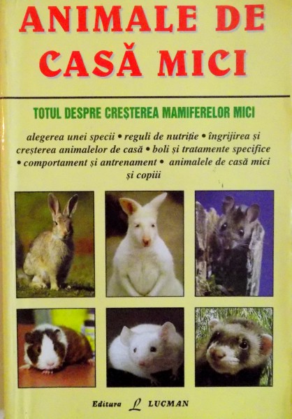 ANIMALE DE CASA MICI de MARGIE WILSON