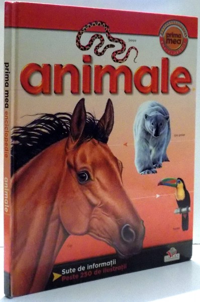 ANIMALE de DENISE RYAN , 2008
