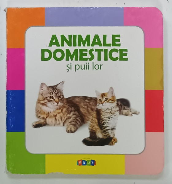 ANIMALE DOMESTICE SI PUII LOR, 2017