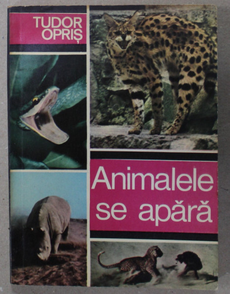 ANIMALELE SE APARA de TUDOR OPRIS , ilustratii de ELENA FLORINA COCEA , 1975