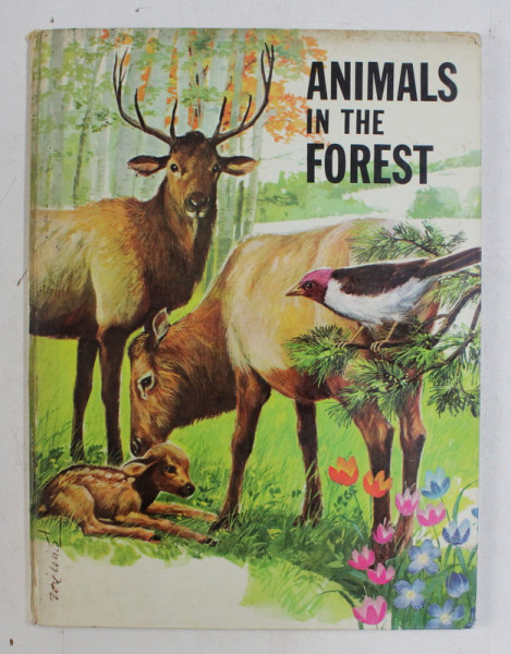 ANIMALS IN THE FOREST