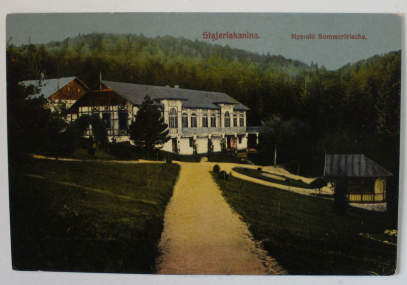 ANINA , HOTEL , CARTE POSTALA ILUSTRATA , INTERBELICA