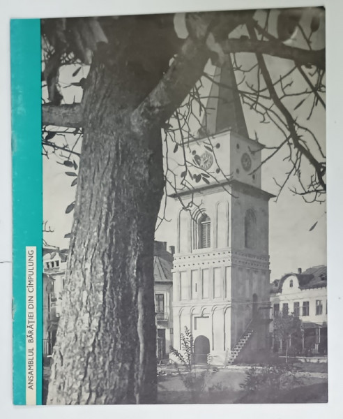 ANSAMBLUL  BARATIEI DIN CAMPULUNG - MUSCEL  , prezentare de arh. LAURENTIU  VASILESCU , 1968