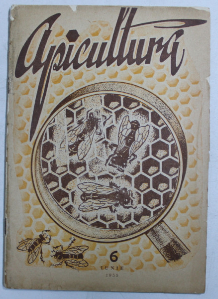 APICULTURA  - ORGAN DE INDRUMARE APICOLA AL MINISTERULUI AGRICULTURII SI SILVICULTURII ,   NR . 6 ,IUNIE, 1955