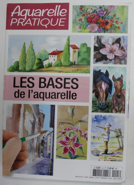 AQUARELLE PRATIQUE - LES BASES DE L 'AQUARELLE , 2017 , REVISTA