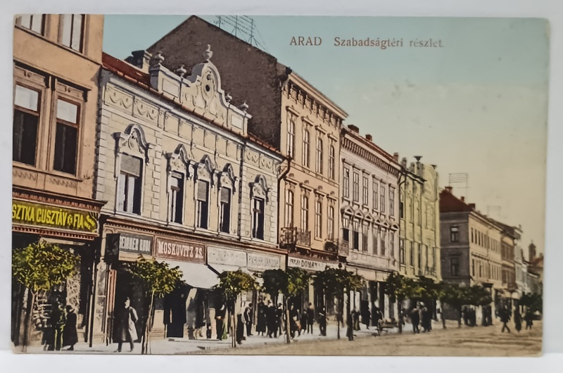 ARAD , PIATA LIBERTATII , CARTE POSTALA , INCEPUT DE SECOL XX