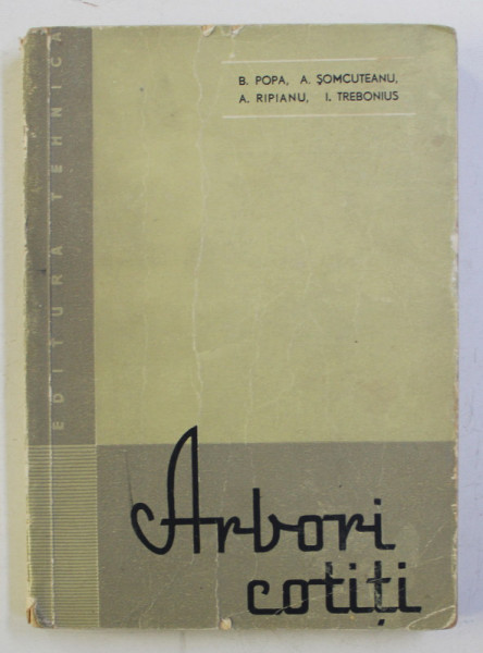 ARBORI COTITI de POPA BAZIL ... TREBONIUS ION , 1960