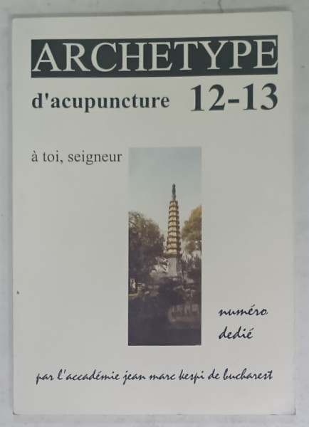 ARCHETYPE D 'ACUPUNCTURE 12-13 , REVUE , ANII '90