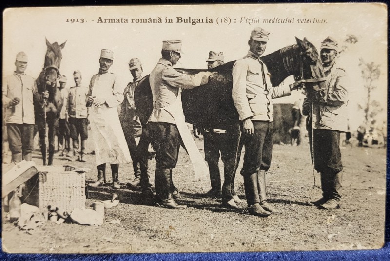 Armata Romana in Bulgaria - Vizita medicului veterinar, 1913