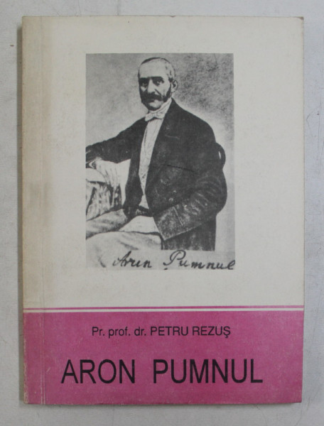 ARON PUMNUL de PETRU REZUS , 1994