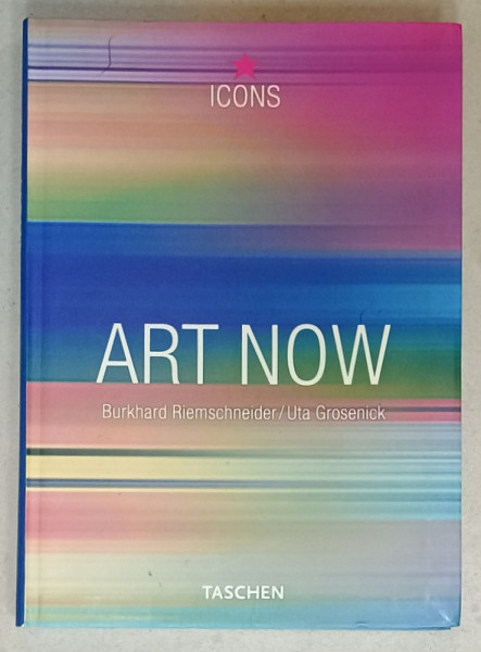 ART NOW by BURKHARD RIEMSCHEIDER and UTA GROSENICK , 2001