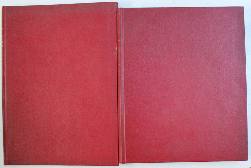 ARTA PLASTICA , REVISTA EDITATA DE UNIUNEA ARTISTILOR PLASTICI DIN R. P. R. , VOLUMELE I - II , 1966