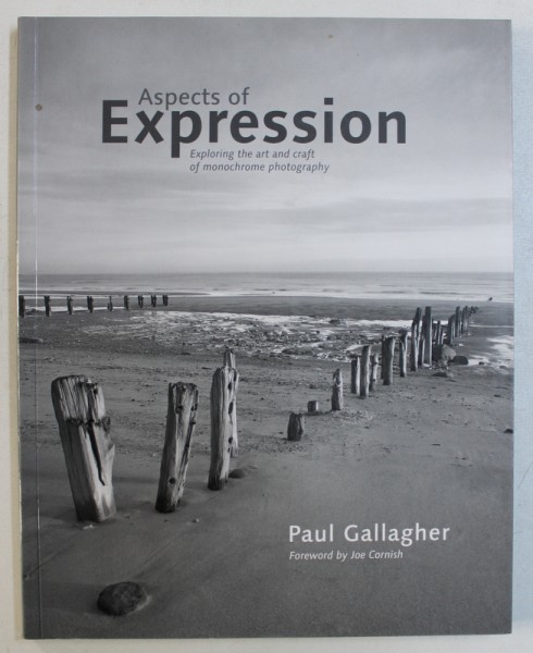 ASPECTS OF EXPRESSION - EXPLORING TEH ART AND CRAFT OF MONOCHROME PHOTOGRAPHY by PAUL GALLAGHER , 2008