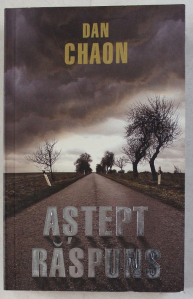 ASTEPT RASPUNS de DAN CHAON , 2011 * PREZINTA HALOURI DE APA