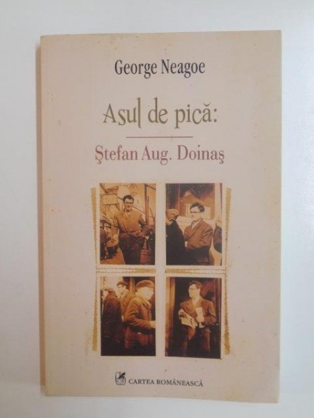 ASUL DE PICA: STEFAN AUG. DOINAS de GEORGE NEAGOE 2013