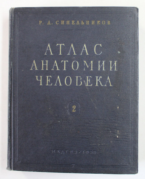 ATLAS ANATOMIE UMANA de R.D. SINELNIKOV , VOLUMUL II , 1954 , TEXT IN LIMBA RUSA  SI LATINA ,*
