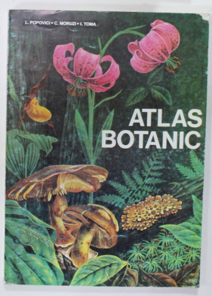 ATLAS BOTANIC de L. POPOVICI ...I. TOMA , 1993