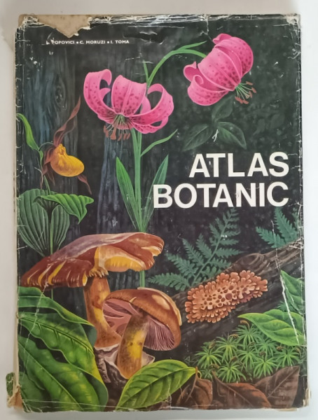 ATLAS BOTANIC de LUCIA POPOVICI , CONSTANTA MORUZI , ION TOMA , 1973 *MINIMA UZURA