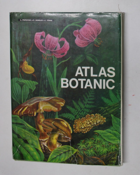 ATLAS BOTANIC de LUCIA POPOVICI , CONSTANTA MORUZI si ION TOMA , 1994 * EDITIE CARTONATA