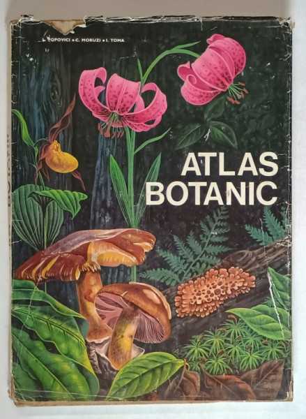ATLAS BOTANIC de LUCIA POPOVICI , CONSTANTA MORUZI si ION TOMA , 1994 * EDITIE CARTONATA