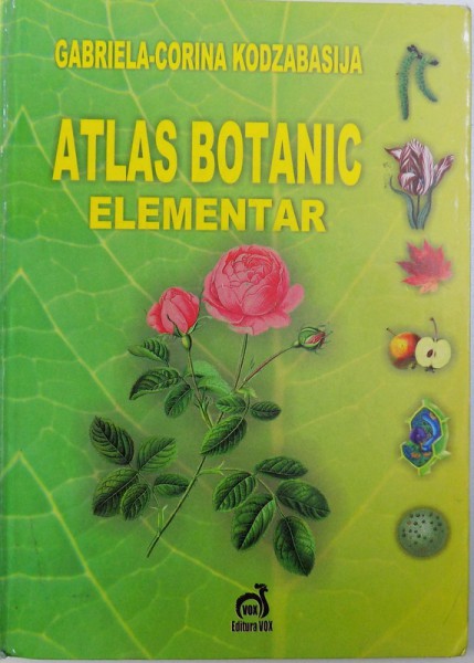 ATLAS BOTANIC ELEMENTAR de GABRIELA  - CORINA KODZABASIJA , 2008