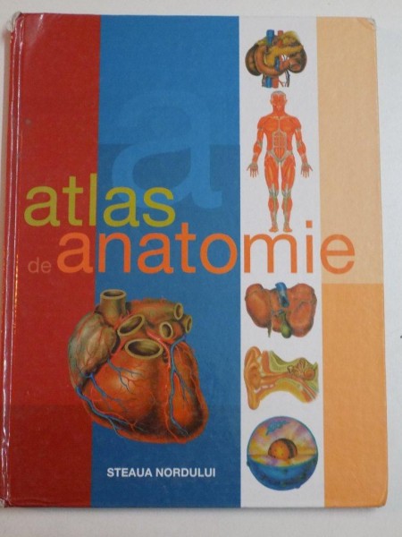 ATLAS DE ANATOMIE 2006