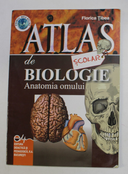 ATLAS DE BIOLOGIE - ANATOMIA OMULUI , de FLORICA TIBEA , 2008