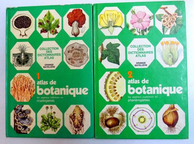 ATLAS DE BOTANIQUE, VOL. I- II par JEAN - LOUIS PERMENTIER , 1973