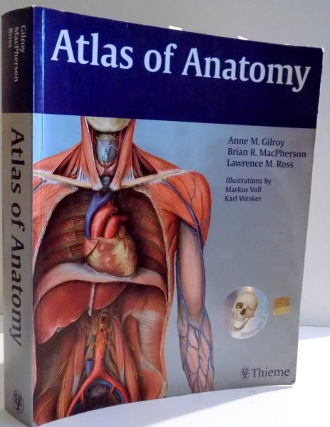 ATLAS OF ANATOMY by ANNE M. GILROY...LAWRENCE M. ROSS