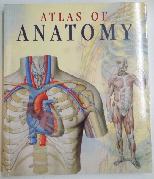 ATLAS OF HUMAN ANATOMY , 2003