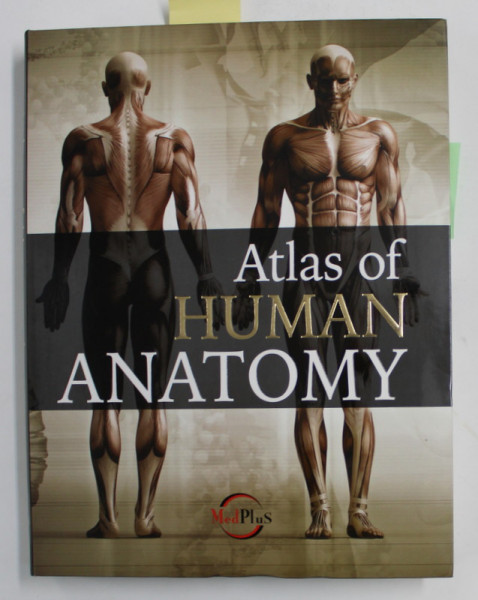 ATLAS OF HUMAN ANATOMY by JORDI VIGUE , 2018, CONTINE CD *