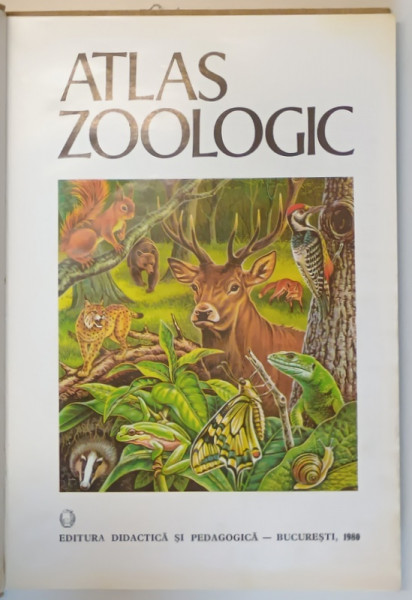ATLAS ZOOLOGIC de CONSTANTIN BOGOESCU , ALEXANDRU DABIJA , EMIL SANIELEVICI , 1980