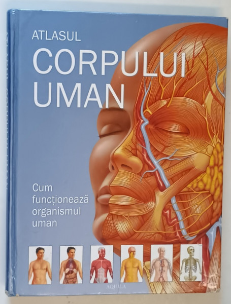 ATLASUL CORPULUI UMAN , CUM FUNCTIONEAZA CORPUL UMAN  , 2002 *PREZINTA URME DE UZURA SI HALOURI DE APA
