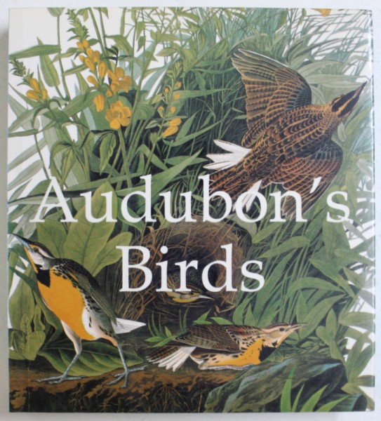 AUDUBON'S BIRDS de JOHN JAMES AUDUBON, 2006