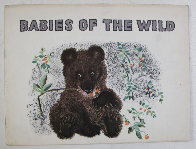 BABIES OF THE  WILD by YEVGENI CHARUSHIN , illustrated by the autor
