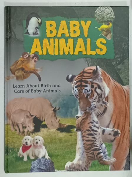 BABY ANIMALS , LEARN ABOUT BIRTH AND CARE OF BABY ANIMALS , ANII  '90