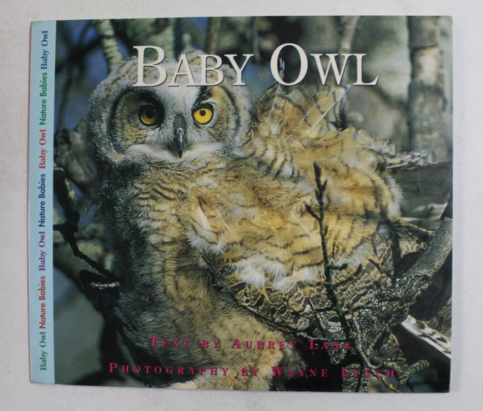 BABY OWL , text by AUBREY LANG , photography by WAYNE LYNCH , 2003