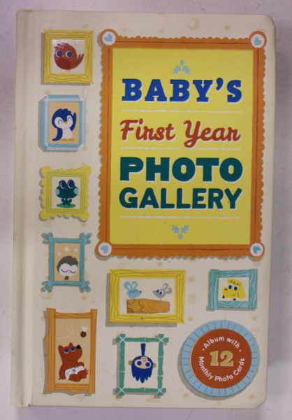 BABY 'S FIRST YEAR PHOTO GALLERY , ALBUM WITH 12 MONTHLY PHOTO CARDS , 2015