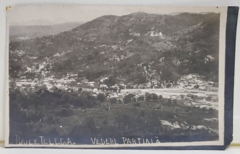 BAILE TELEGA , VEDERE PARTIALA , FOTOGRAFIE TIP CARTE POSTALA, 1927
