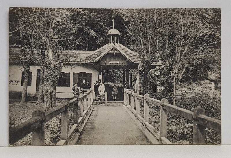 BAILE ZIZIN - IZVORUL FERDINAND ,FOTOGRAF HENRI LANG , BRASOV ,  FOTOGRAFIE TIP CARTE POSTALA , MONOCROMA , CIRCULATA , DATATA 1925