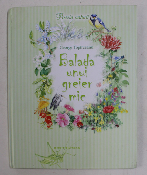 BALADA UNUI GREIER MIC de GEORGE TOPARCEANU , ilustratii de ELENA KARACENTSEVA si SIMION ZAMSA , 2013