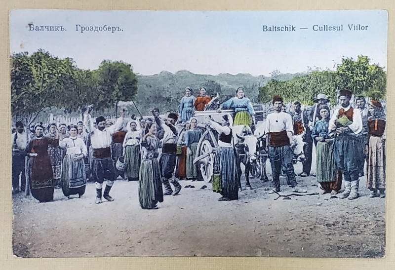 BALCIC , LOCALNICI IN COSTUME TRADITIONALE  JUCAND LA CULESUL VIILOR , CARTE POSTALA ILUSTRATA , INCEPUTUL SEC. XX