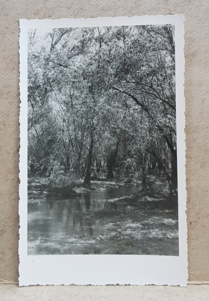 BALTA BRAILEI , PE COROTISCA , PEISAJ , FOTOGRAFIE TIP CARTE POSTALA , MONOCROMA, NECIRCULATA , DATATA 1 MAI 1934