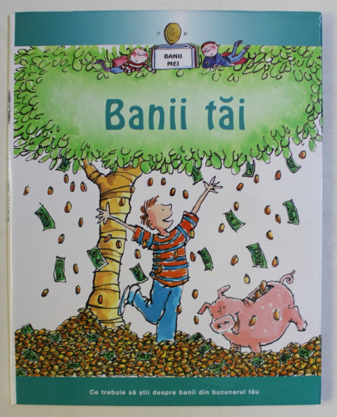 BANII TAI , CE TREBUIE SA STII DESPRE BANII DIN BUZUNARUL TAU de GERRY BAILEY and FELICIA LAW , 2008