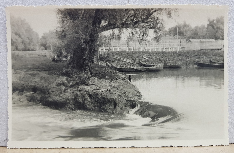 BARCI LANGA UN PODET IN BALTA BRAILEI , FOTOGRAFIE TIP CARTE POSTALA , NECIRCULATA , PERIOADA INTERBELICA